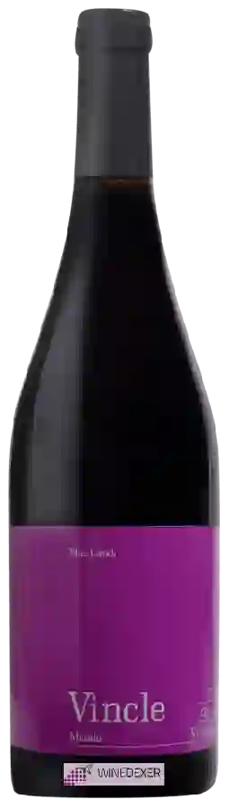 Winery Mas Candi - Vincle Mandó