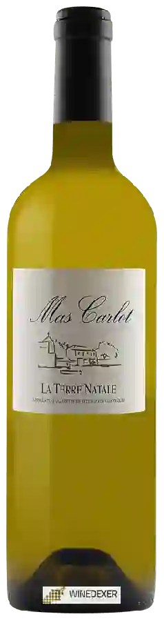 Winery Mas Carlot - La Terre Natale Winery Mas Carlot - La Terre Natale
