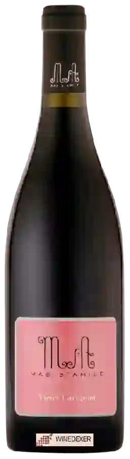 Winery Mas D'Amile - Vieux Carignan