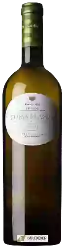 Winery Mas d'en Gil - Coma Blanca Priorat
