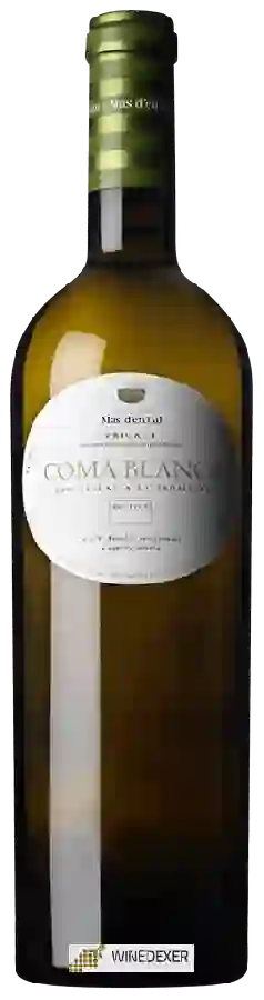 Winery Mas d'en Gil - Coma Blanca Priorat Winery Mas d'en Gil - Coma Blanca Priorat