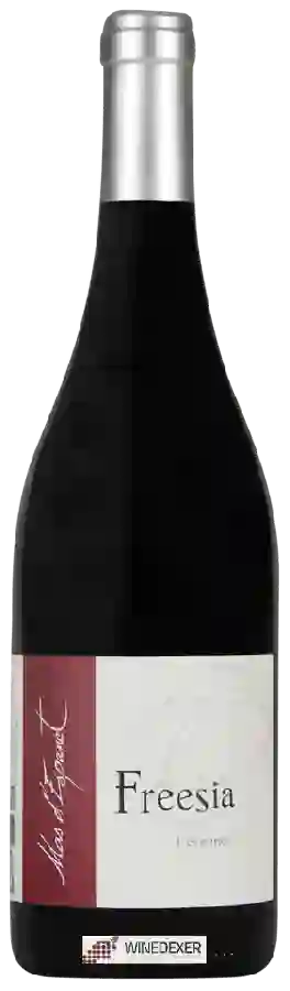 Winery Mas d'Espanet - Freesia Rouge Winery Mas d'Espanet - Freesia Rouge