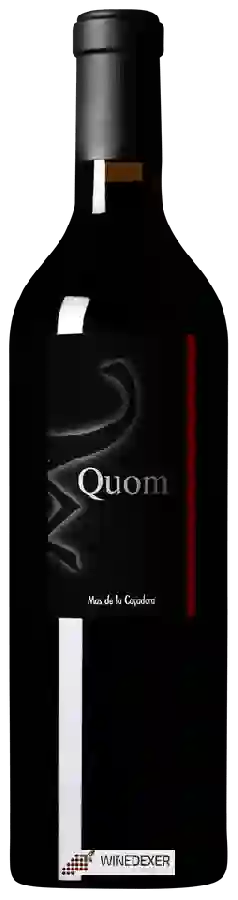 Winery Mas de la Caçadora - Quom Winery Mas de la Caçadora - Quom