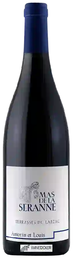 Winery Mas de la Seranne - Antonin et Louis Terrasses du Larzac Winery Mas de la Seranne - Antonin et Louis Terrasses du Larzac