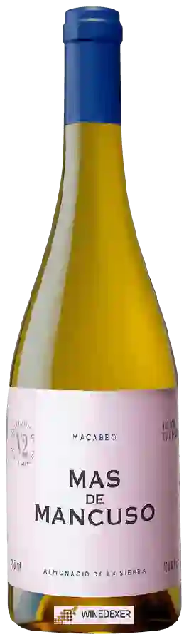 Winery Mas de Mancuso - Macabeo