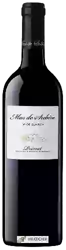 Winery Mas de Subirà - Tinto