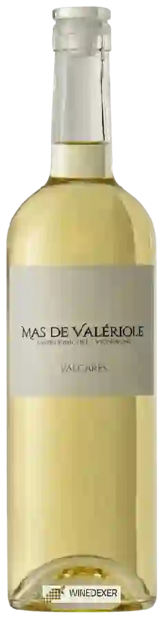 Winery Mas de Valériole - Valcarès Winery Mas de Valériole - Valcarès