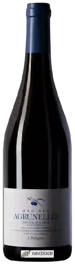 Winery Mas des Agrunelles - L'Indigene