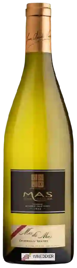 Winery Mas des Mas - Chardonnay - Viognier
