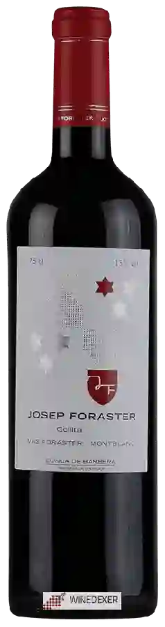 Winery Mas Foraster - Josep Foraster Collita