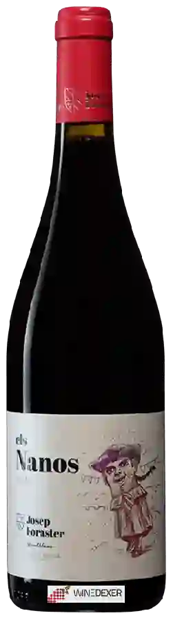 Winery Mas Foraster - Josep Foraster els Nanos Collita