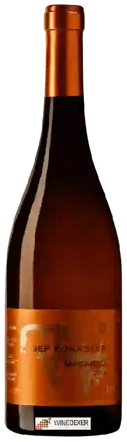Winery Mas Foraster - Josep Foraster Macabeu Winery Mas Foraster - Josep Foraster Macabeu