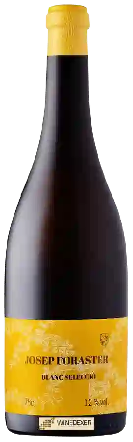 Winery Mas Foraster - Josep Foraster Selecció Blanc