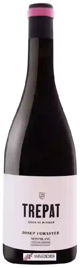 Winery Mas Foraster - Josep Foraster Trepat