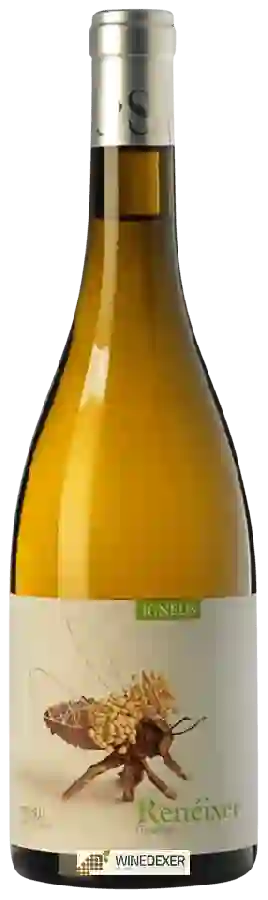 Winery Mas Igneus - Renéixer Blanc Winery Mas Igneus - Renéixer Blanc