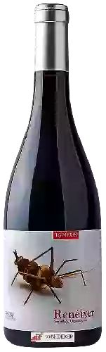 Winery Mas Igneus - Renéixer Negre