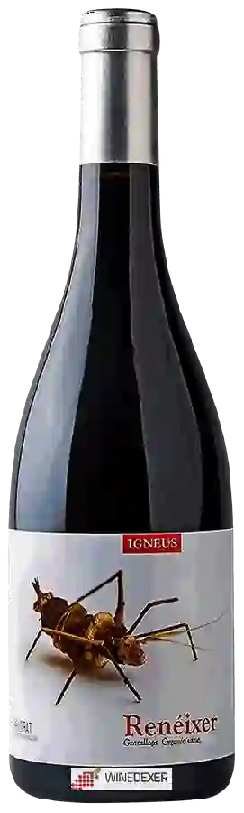 Winery Mas Igneus - Renéixer Negre Winery Mas Igneus - Renéixer Negre