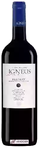 Winery Mas Igneus - Vinyes de Coster FA 112
