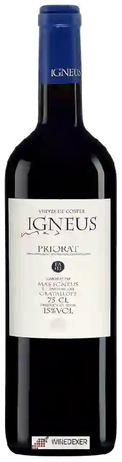 Winery Mas Igneus - Vinyes de Coster FA 112 Winery Mas Igneus - Vinyes de Coster FA 112