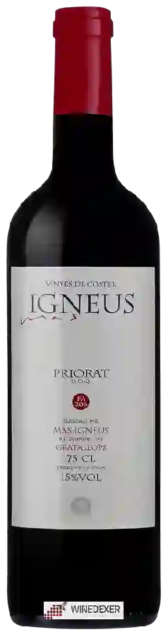 Winery Mas Igneus - Vinyes de Coster FA 206 Winery Mas Igneus - Vinyes de Coster FA 206