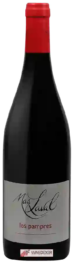 Winery Mas Laval - Les Pampres
