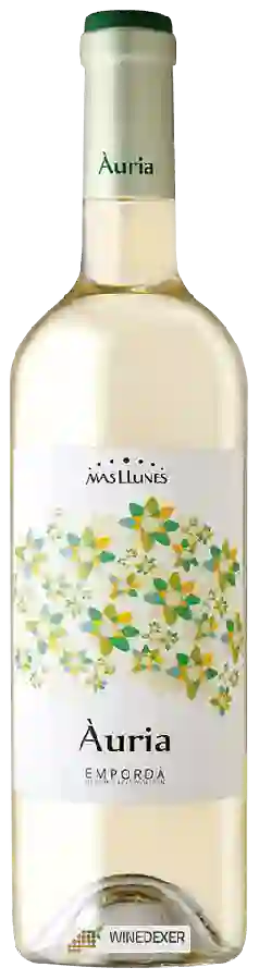 Winery Mas Llunes - Àuria