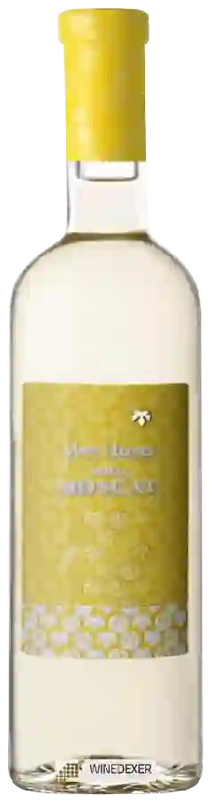 Winery Mas Llunes - Dolç Moscat Winery Mas Llunes - Dolç Moscat