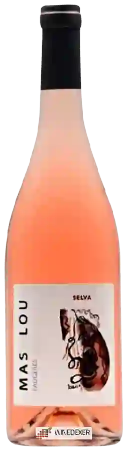 Winery Mas Lou - Selva Faugères Winery Mas Lou - Selva Faugères