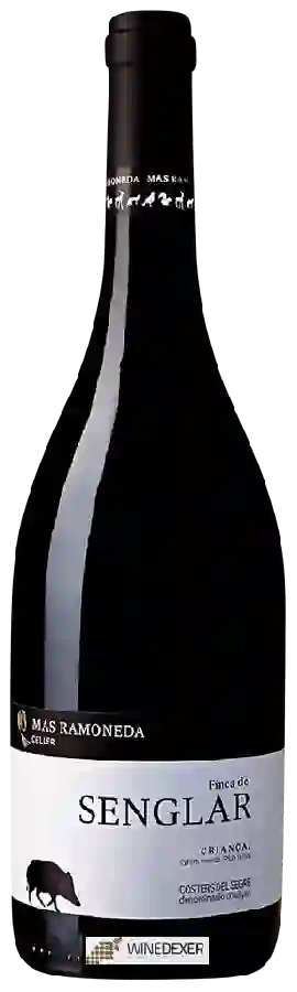 Winery Mas Ramoneda - Finca de la Guineu Reserva