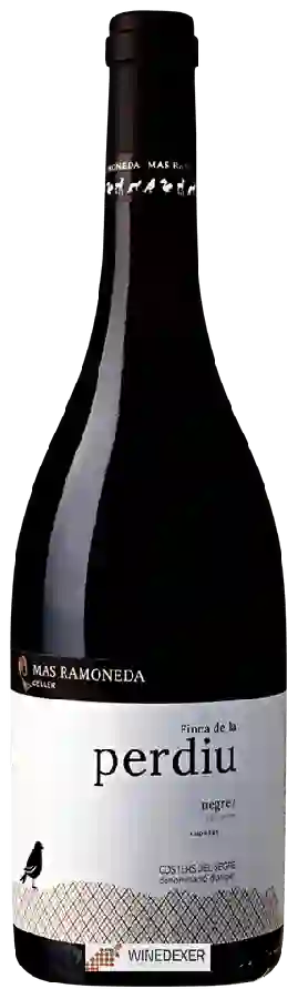 Winery Mas Ramoneda - Finca de la Perdiu Negre