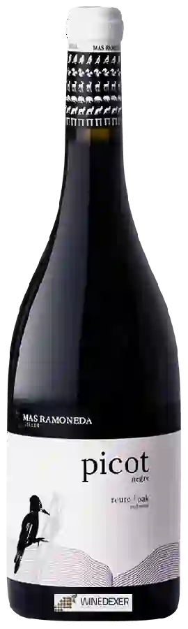 Winery Mas Ramoneda - Picot Roure Oak Winery Mas Ramoneda - Picot Roure Oak