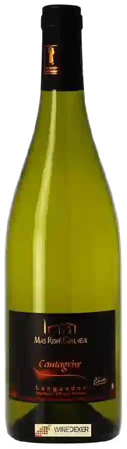 Winery Mas René Guilhem - Cantagrive Elise Winery Mas René Guilhem - Cantagrive Elise