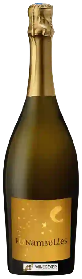 Winery Mas Rouge - Funambulles Winery Mas Rouge - Funambulles