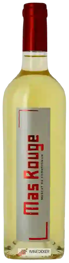 Winery Mas Rouge - Muscat de Frontignan Winery Mas Rouge - Muscat de Frontignan