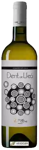 Winery Mas Vicenç - Dent de Lleó