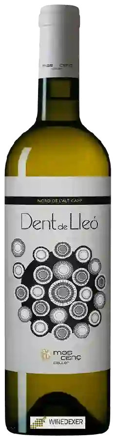 Winery Mas Vicenç - Dent de Lleó