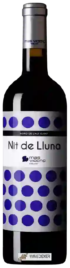 Winery Mas Vicenç - Nit de Lluna