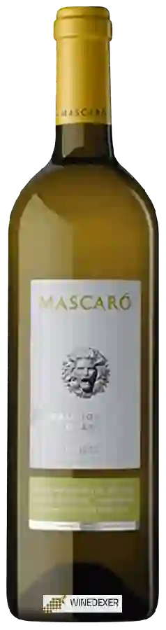 Winery Mascaró - Sauvignon Blanc Winery Mascaró - Sauvignon Blanc