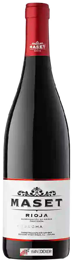 Winery Maset del Lleó - Cosecha