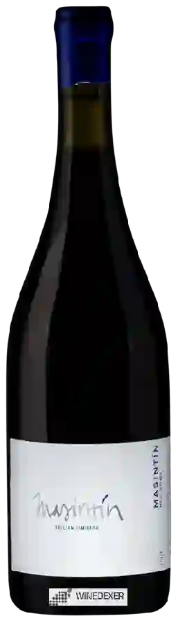 Winery Masintín - Mezcla Tinta