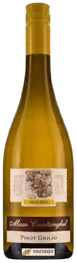 Winery Maso Cantanghel - Maso Papa Pinot Grigio