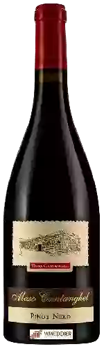 Winery Maso Cantanghel - Vigna Cantanghel Pinot Nero