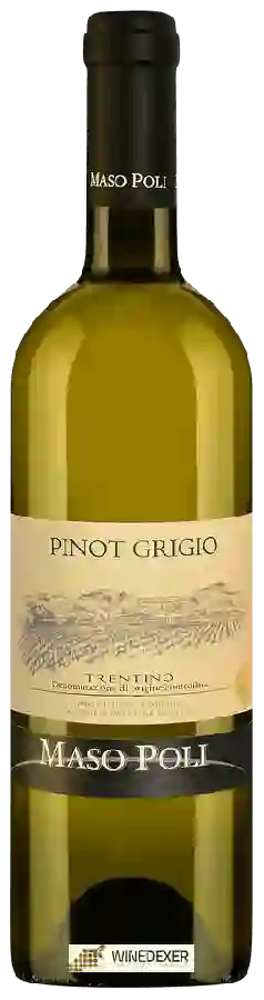 Winery Maso Poli - Pinot Grigio
