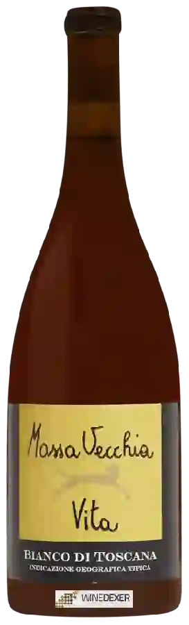 Winery Massa Vecchia - Vita Bianco di Toscana Winery Massa Vecchia - Vita Bianco di Toscana