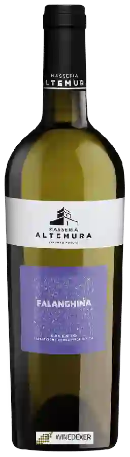 Winery Masseria Altemura - Falanghina Salento