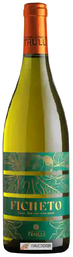 Winery Masseria Borgo dei Trulli - Ficheto