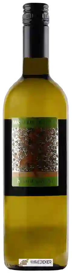 Winery Masseria Pietrosa - Bianco Salento