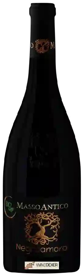 Winery Masso Antico - Negroamaro