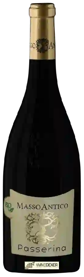 Winery Masso Antico - Passerina