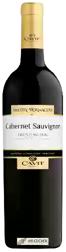 Winery Mastri Vernacoli - Cabernet Sauvignon